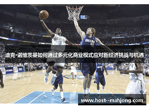 迪克·诺维茨基如何通过多元化商业模式应对新经济挑战与机遇