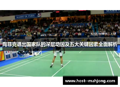 陶菲克退出国家队的深层动因及五大关键因素全面解析